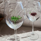 Wine Grape Glasses