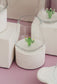 Cactus Set