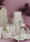 Cactus Set