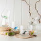 Safari Set of 6